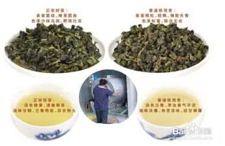 白斑和白殿疯有何区别 真假铁观音茶有何区别