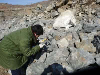 黑云母花岗岩 辽宁排山楼金矿床黑云母花岗岩�こ裳沂贝�及地质意义