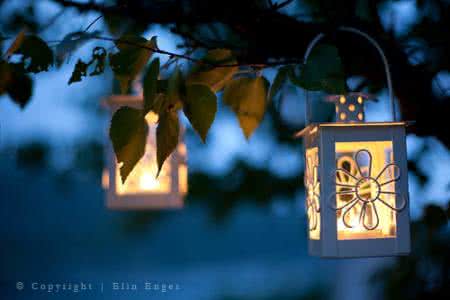 人生是一场盛大的遇见 心语系列:人生,是一场盛大的遇见。