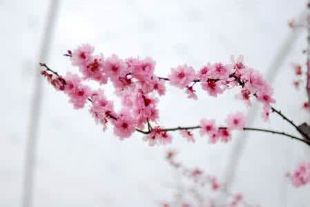 好心情 此生只求——好心情