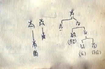 何新国学经典新解系列 何新：《古文字学笔记·释帝与南》