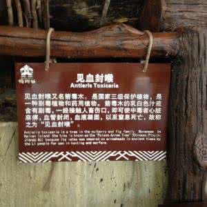 天涯海角有穷时 天涯海角有穷时,只有相思无尽处【情感美文】