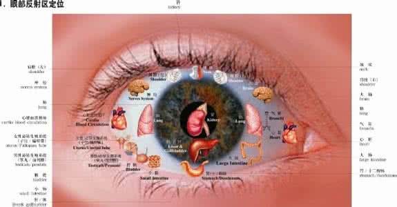 瑶医目诊图 瑶医望诊绝技—观目诊病 目诊主要依据眼睛各部位的形态、...