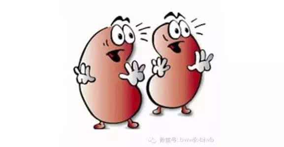 如何养护肾脏 养护肾脏不频尿，一碗粥就搞定，再也不用经常吃药补肾