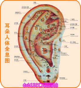 强肾按摩法 通经强肾的按摩双耳法『图文』