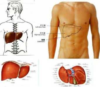我用偏方治好了肝炎 中医如何治疗肝炎