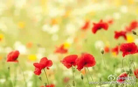 年轻人该有的生活态度 一切在于你的生活态度