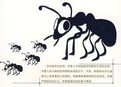 共同富裕并不意味着 蚂蚁的生存哲学 >> 暂时的放弃,并不意味着永远失去