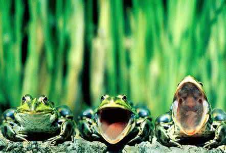 教你野外如何预测天气