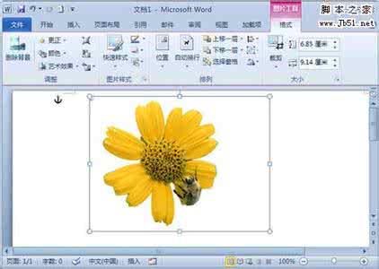 word2010小技巧 word小技巧 Word 2010小技巧