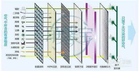 月如意空气净化器 月如意空气净化器 净化器选择有窍门 需求对应功能才如意