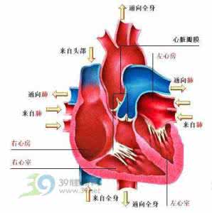 心脏病预兆 心脏病的14个预兆