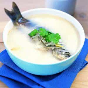 孕妇清炖鲫鱼汤的做法 孕妇鲫鱼汤的做法