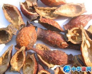 焦槟榔的功效与作用 焦槟榔的功效与作用 焦槟榔有致癌作用吗