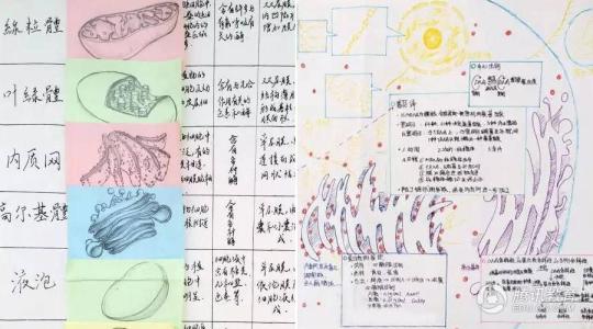 学霸笔记 学霸笔记 你和学霸的距离，就差一本好笔记