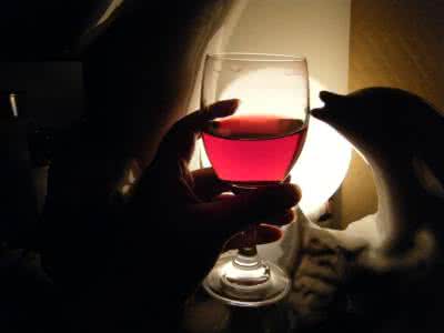 葡萄酒发酵 转载 家酿葡萄酒之发酵管理篇_xuhuyingzi