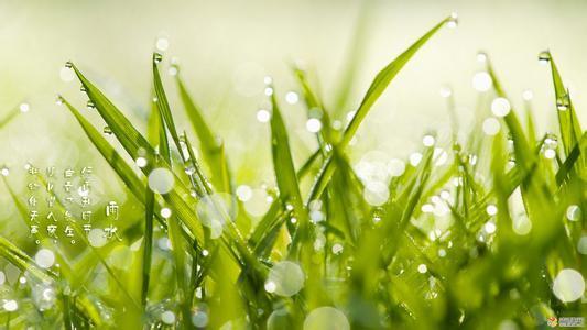 雨水节气天气的变化