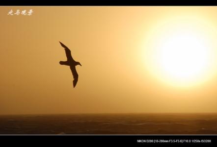 领悟 一生去领悟