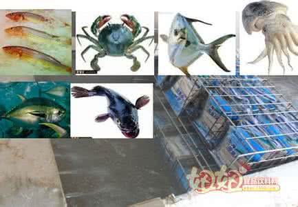 2017水产品保鲜技术 水产品保鲜技术