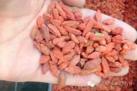 常吃枸杞 为什么说人到中年要常吃枸杞