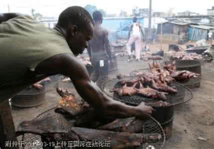 全球食客 全球各地大胆食客 看看都觉得恶心贴图