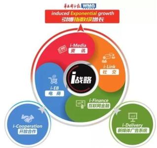 弗里德曼《战略》 《战略》