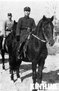 李宗仁指挥的战役 李宗仁指挥的战役 李宗仁军事才能如何