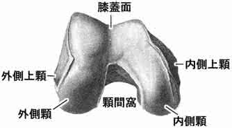 大腿骨酸痛 大腿骨酸痛 为什么大腿骨酸痛？