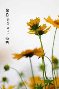 虽错过了最美的季节但 错过的季节