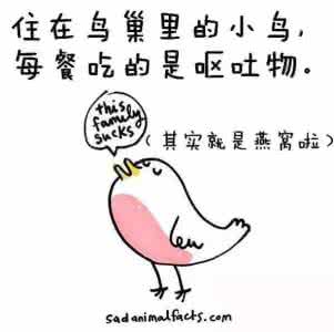 金鱼为什么不会眨眼 金鱼为什么不会眨眼 动物冷知识！谁有5颗心脏？谁不会眨眼睛？