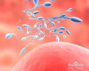 精子存活率低怎么办 怎样提高精子质量和活力