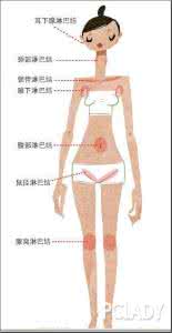 淋巴排毒可以减肥吗 淋巴排毒减肥应该做到哪些？