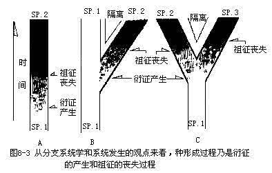系统分类学 分支系统学