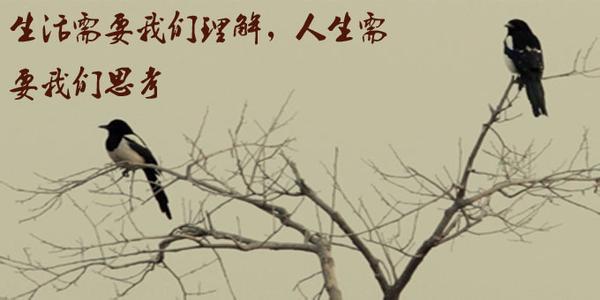 人生不容易 人生,要理解生活的不容易