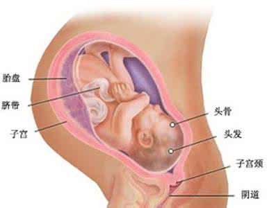 胎膜早破了还会胎动吗 胎膜早破的症状