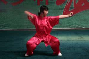 少林大通臂拳 少林大通臂拳----杨俊杰