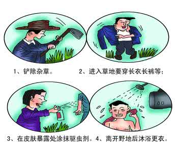 恙虫病症状 恙虫病症状 恙虫病的治疗和预防
