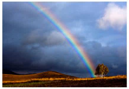 不经历风雨怎能见彩虹 风雨之后才能见彩虹 共担风雨 才能同享彩虹