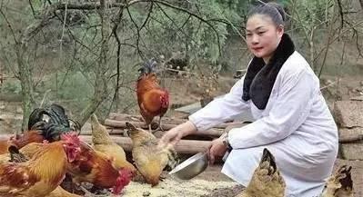 晚上杀鸡有什么忌讳 一个寡妇在杀鸡前的晚上喂鸡，不经意地说：快吃吧，这是你最后一顿，结果……