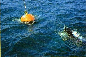 海洋生物化学专业 海洋生物化学