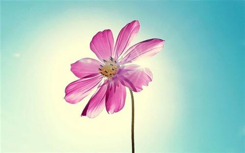 顺其自然一切随缘 眼要看淡，心要放宽，一切随缘，顺其自然，人健康的活着，就是一种富有