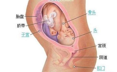 胎儿入盆的感觉和症状 怀孕晚期胎儿入盆症状 怀孕晚期呼吸困难怎么办