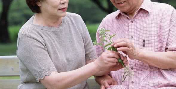 老人秋季养生保健 老人秋季保健的五要点