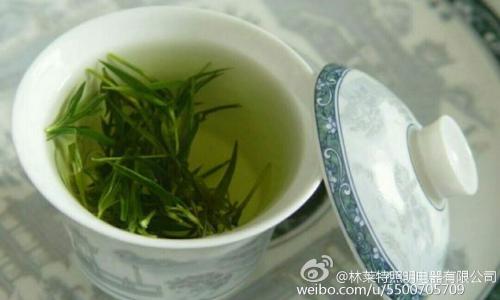 哪种绿茶最好 哪里的绿茶最好 哪种绿茶好