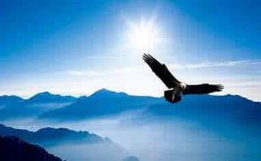 如何才能有自己的事业 如何才能成就事业