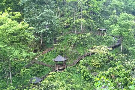 峨眉山旅游攻略 峨眉山攻略:不再当旅游小白!
