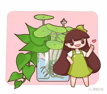 花儿娱乐石头剪刀布 想要花儿蹭蹭长,就要剪刀咔咔响!