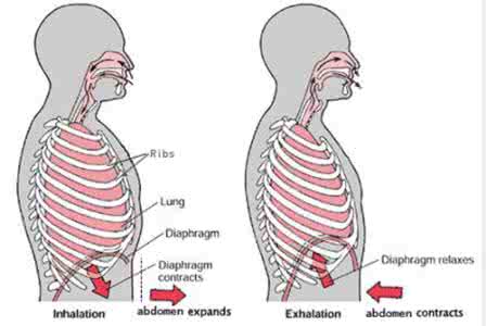 体位练习中的呼吸技巧，何时吸，何时呼？