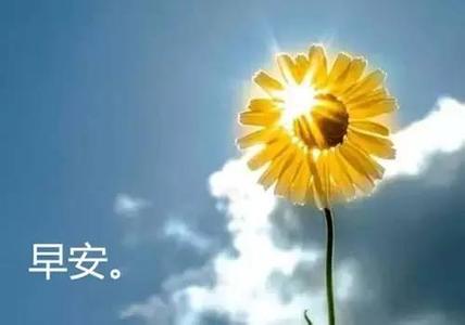 早安心语人生经典语录 早安心语：人生如果错了方向，停止就是进步