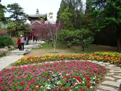 西山庭院医院 庭院满香花，花香满院庭